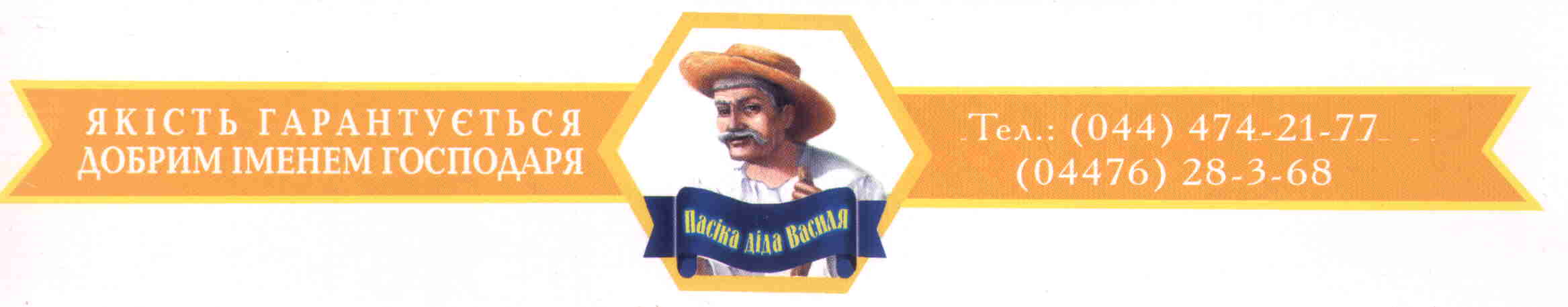 med3.jpg (45665 bytes)